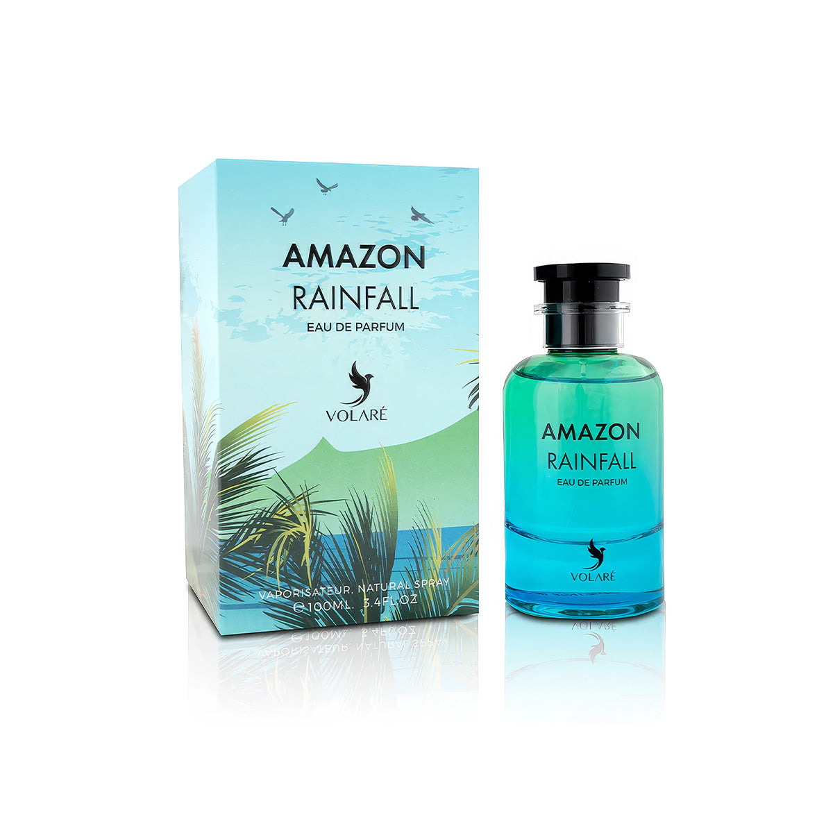 Amazon Rainfall