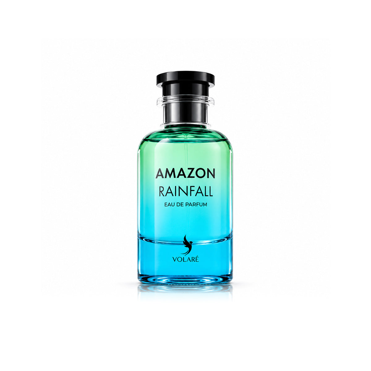 Amazon Rainfall